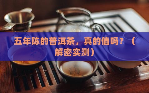 普洱茶五年陈酿