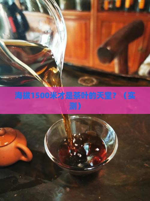 最适宜茶叶生长的海拔