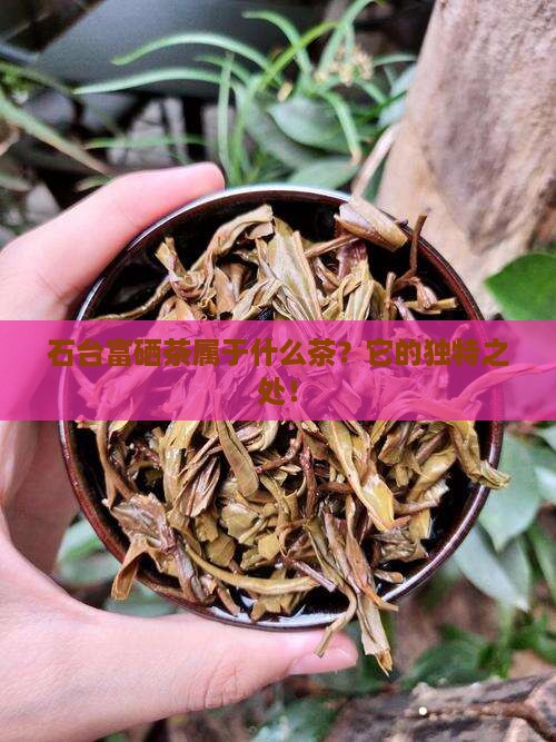 石台富硒茶属于什么茶