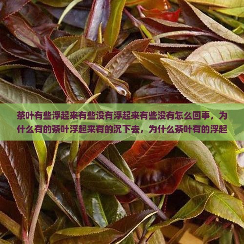 茶叶有些浮起来有些没有