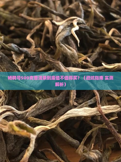 杨聘号500克普洱茶