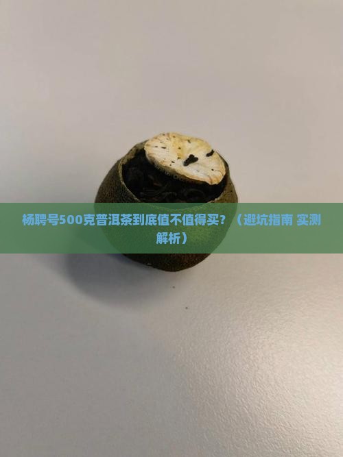 杨聘号500克普洱茶