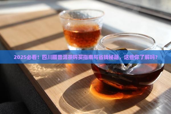 四川适合购买藏普洱茶吗