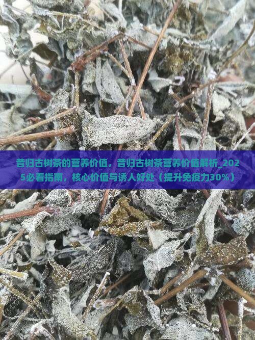 昔归古树茶的营养价值