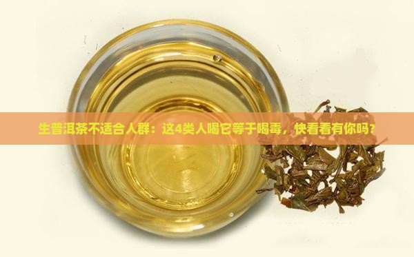 生普洱茶不适合人群