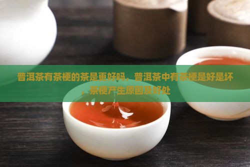 普洱茶有茶梗的茶是更好吗 普洱茶有茶梗的茶是更好吗