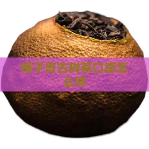 梅子箐古树茶口感怎么样