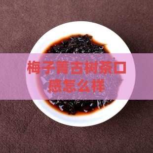 梅子箐古树茶口感怎么样