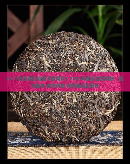 6711普洱茶
