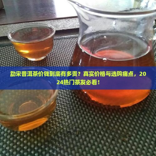 勐宋普洱茶价钱