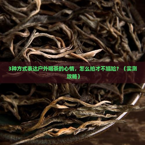 怎么表达户外喝茶的心情