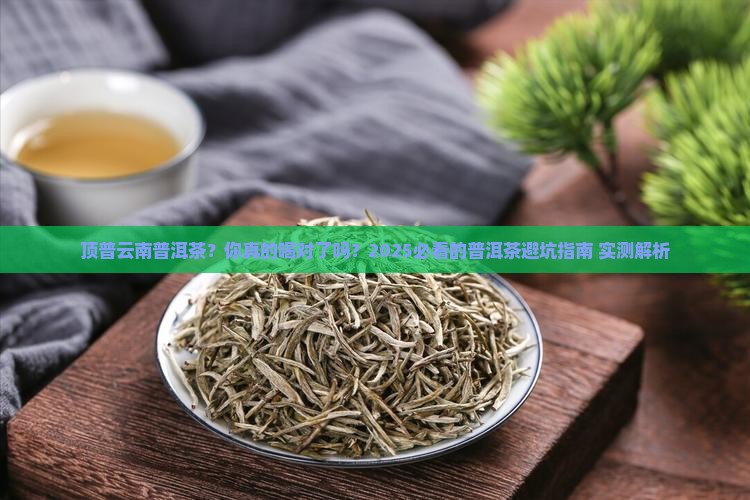 顶普云南普洱茶