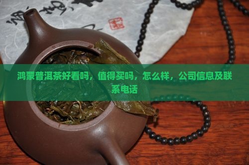 鸿蒙普洱茶好看吗