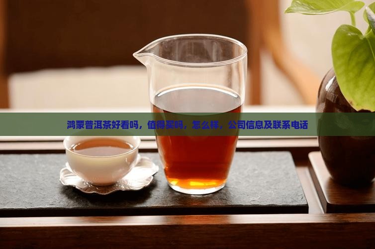 鸿蒙普洱茶好看吗
