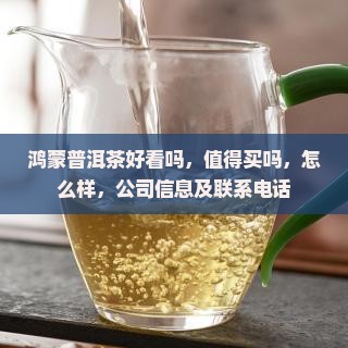 鸿蒙普洱茶好看吗