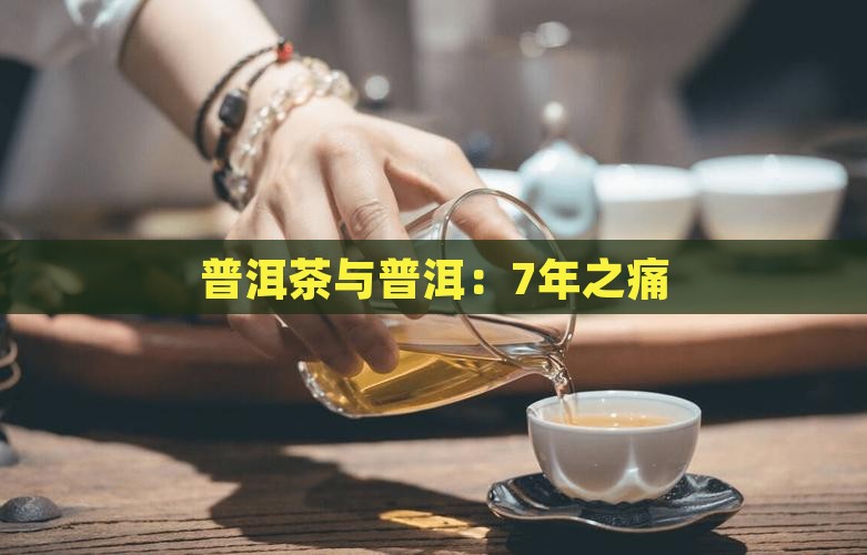 普洱茶的7年之痛