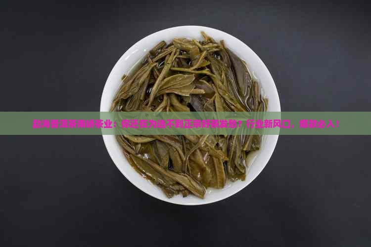 勐海普洱茶南峤茶业