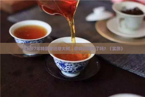 斗记07年特质老班章大树