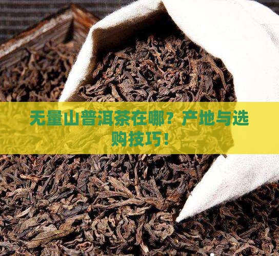 无量山普洱茶在哪