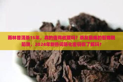 雨林普洱茶15年