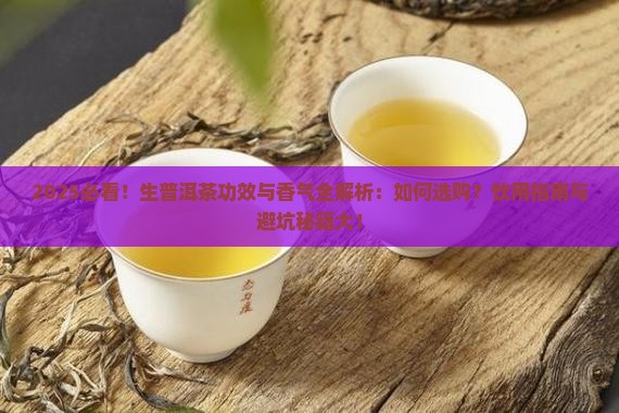 生普洱茶的功效和香气