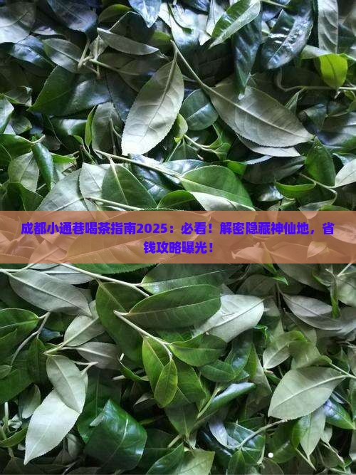 成都喝茶的地方小通巷