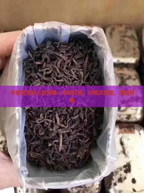 中茶普洱什么茶好喝