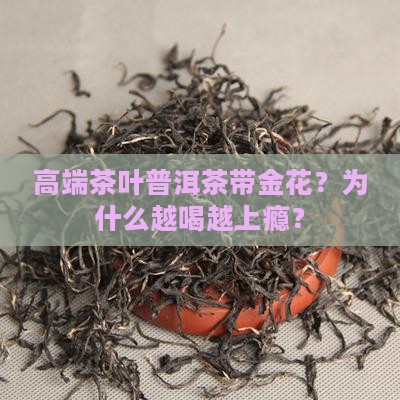高端茶叶普洱茶带金花