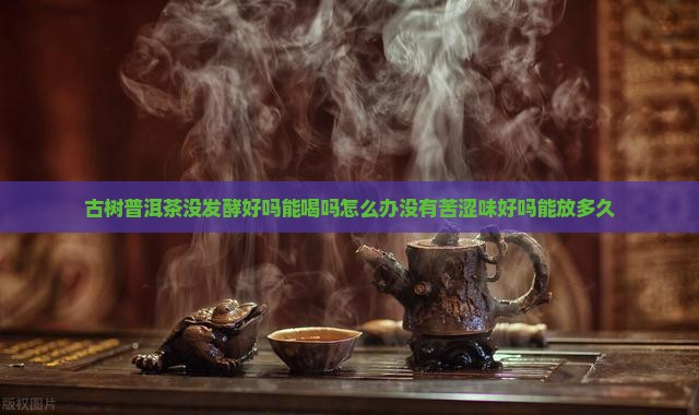 古树普洱茶没发酵好吗