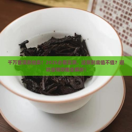 千万普洱茶拍卖