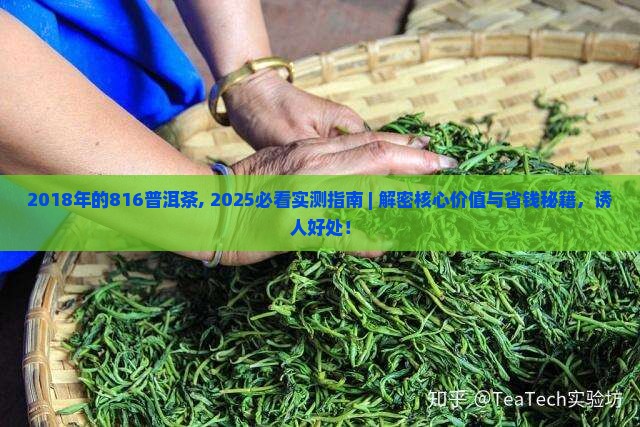 2018年的816普洱茶