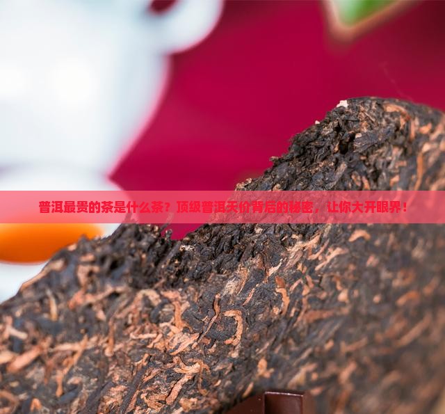 普洱最贵的茶是什么茶
