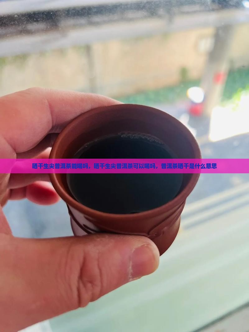 晒干生尖普洱茶