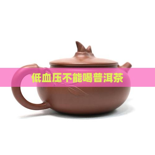 低血压不能喝普洱茶