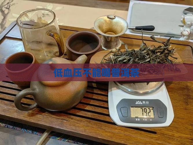 低血压不能喝普洱茶