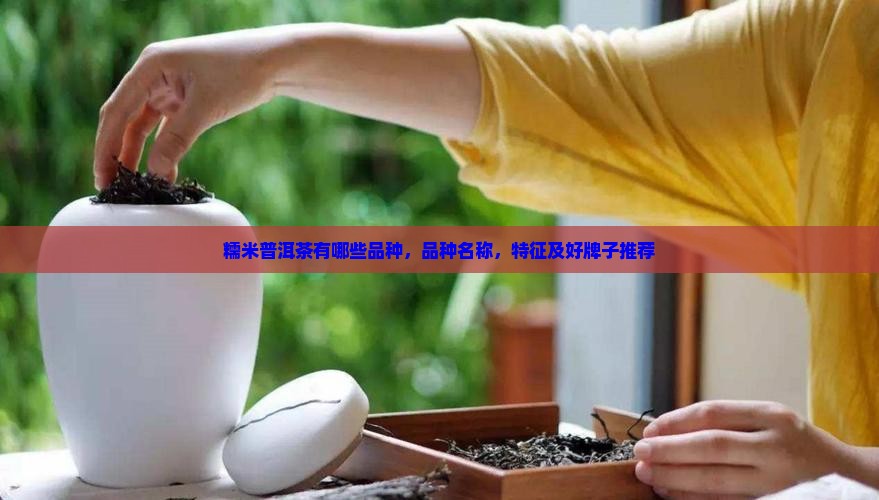 糯米普洱茶有哪些品种