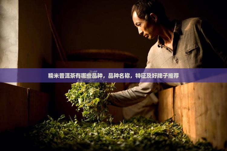 糯米普洱茶有哪些品种