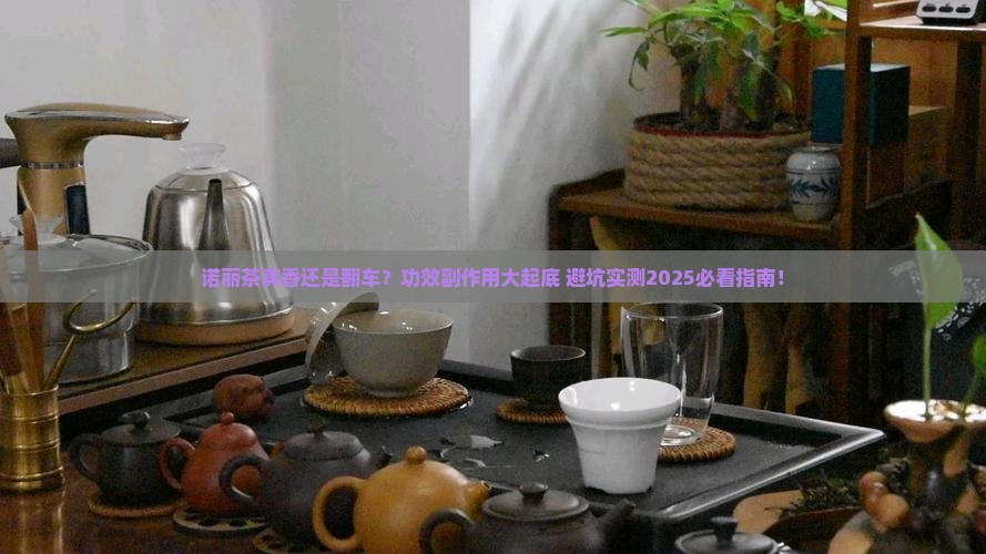 诺丽茶的功效副作用
