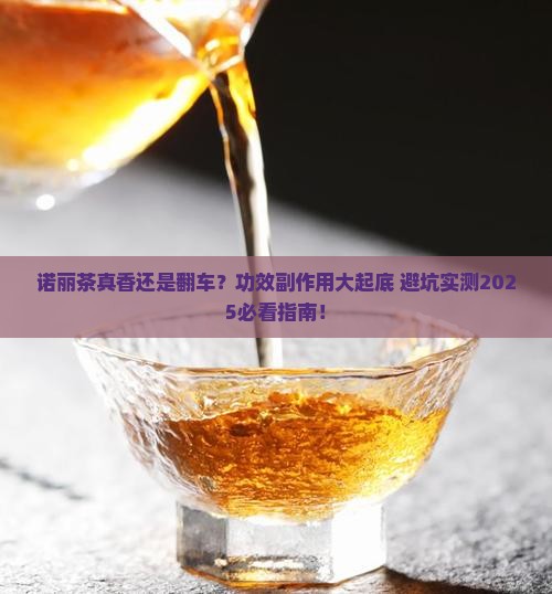 诺丽茶的功效副作用
