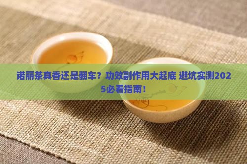 诺丽茶的功效副作用