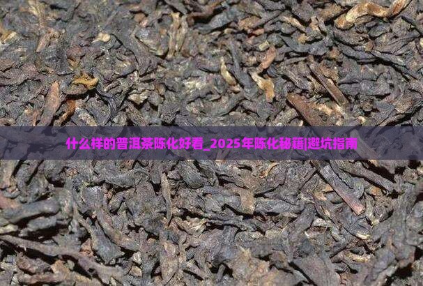 什么样的普洱茶陈化好看