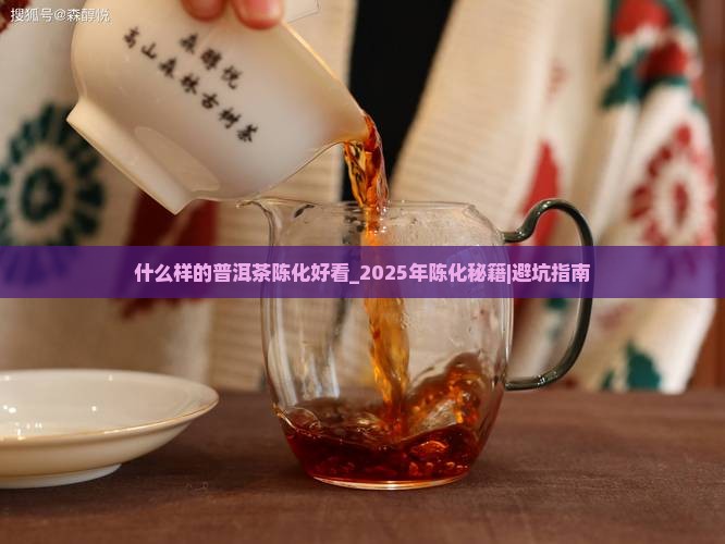 什么样的普洱茶陈化好看