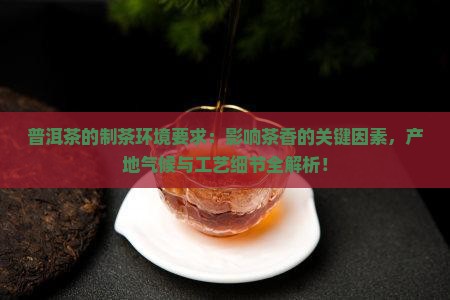 普洱茶的制茶环境要求