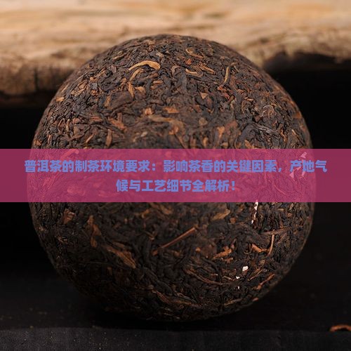 普洱茶的制茶环境要求