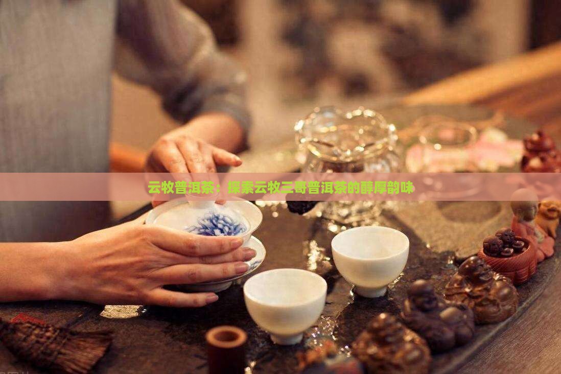 云牧三哥普洱茶怎么样