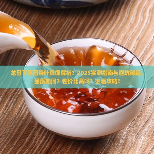 龙田下坪园茶叶怎么样