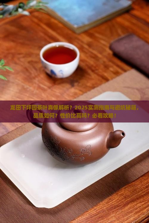 龙田下坪园茶叶怎么样