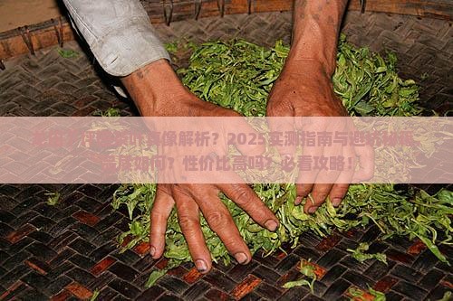 龙田下坪园茶叶怎么样