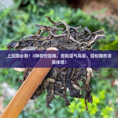 喝什么茶去体内湿气毒素
