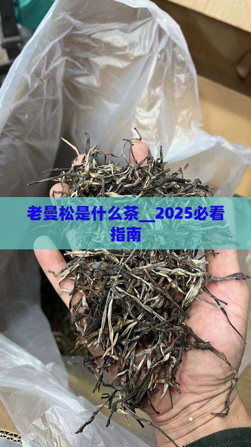 老曼松是什么茶